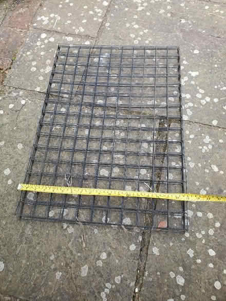Photo of free 4 wire mesh greenhouse shelves (Dyke Road area BN1) #1