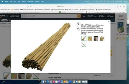 Photo of 6 feet tall bamboo garden poles or metal equivalent poles (Ebley GL5) #1