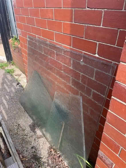 Photo of free Various shapes leaf glass (Pen-y-Lan CF23) #2