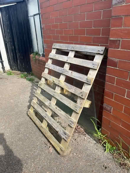 Photo of free Pallet (Pen-y-Lan CF23) #1