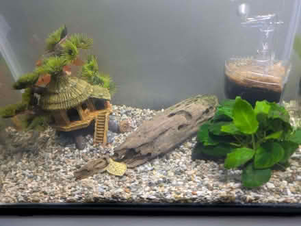 Photo of free Fish tank, complete with fish etc (Hassocks BN6) #3