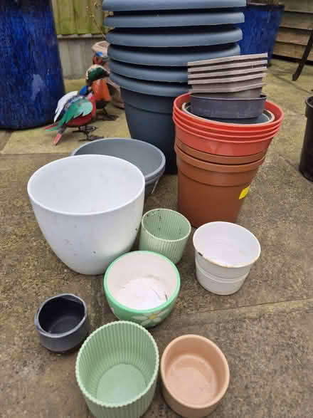 Photo of free Plant pots (Heybridge CM9) #1