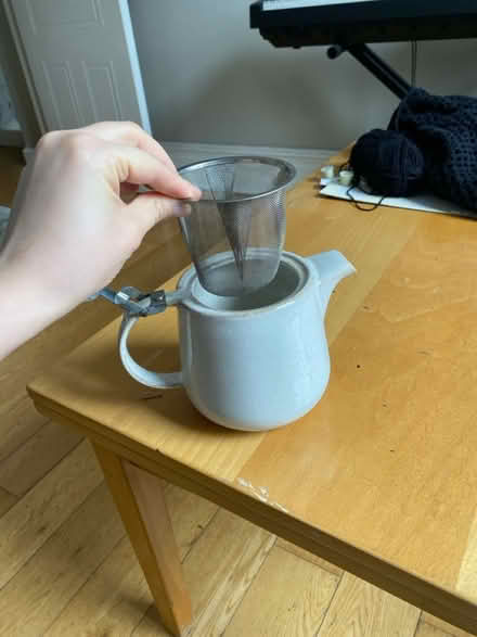 Photo of free tea infuser (SW193TA) #1