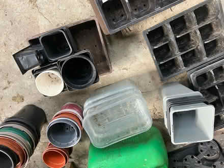 Photo of free Plastic plant pots (AB15) #1