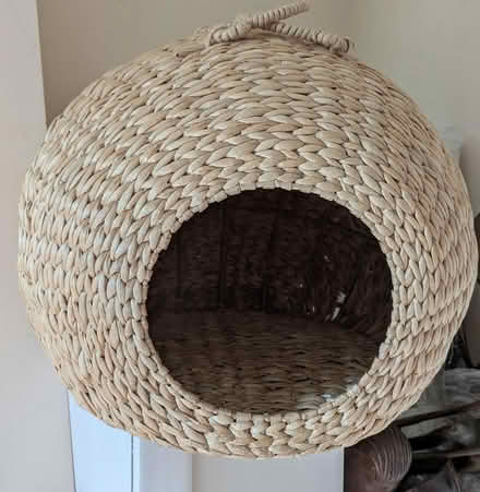 Photo of free Cat house (Fulham) #1