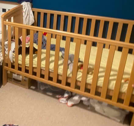 Photo of free East Coast Katie Cotbed (Bassingbourn-cum-Kneesworth SG8) #2