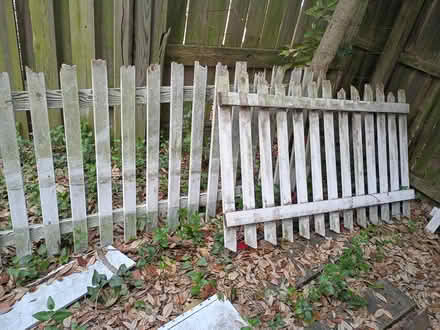 Photo of free Cedar fencing (near ODU) #2