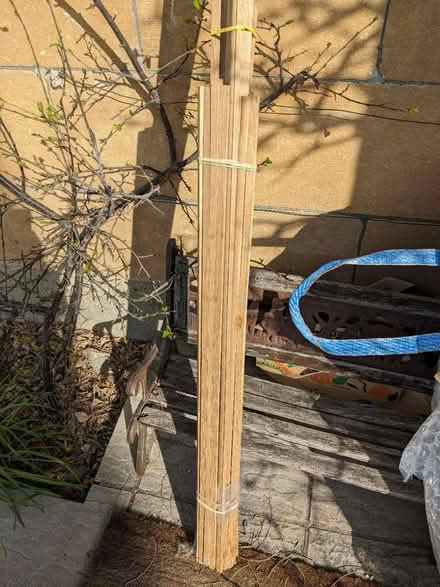 Photo of free Oak edging wood (BA2) #2