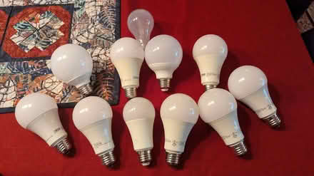 Photo of free Miscellaneous Light Bulbs (Bellevue Bridle Trails area) #1
