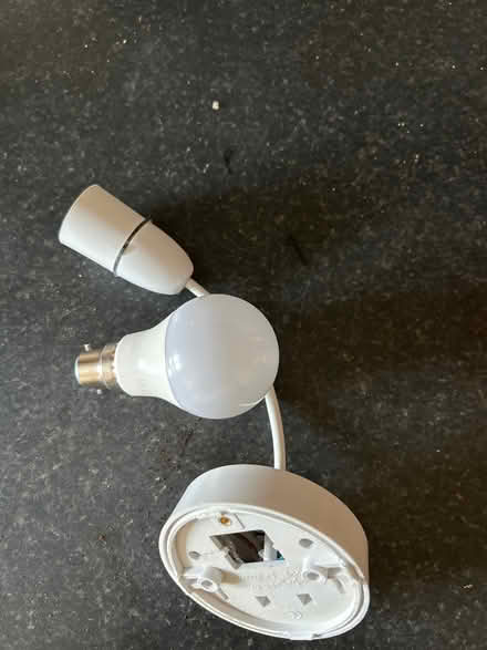 Photo of free Ceiling lamp connector and bulb (Caldecott OX14) #1