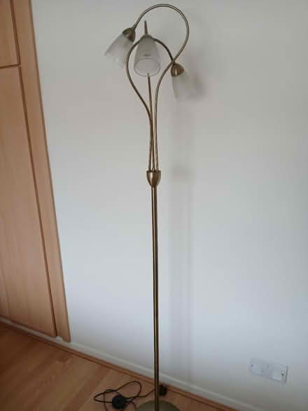 Photo of free Floor standing lamp (Bugbrooke) #1