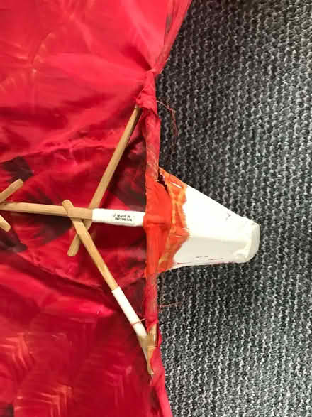 Photo of free Fantastic Bird of Prey Kite (Brotton TS12) #4