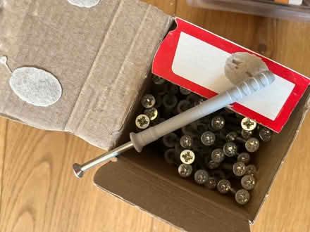 Photo of free Large screws with rawlplugs (Hertford SG13) #1