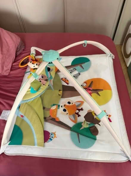 Photo of free Play mat baby gym mat (Notting Hill W11) #1