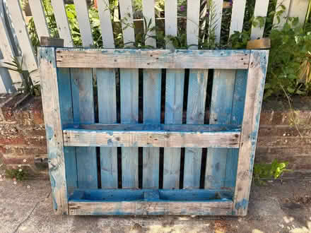 Photo of free Wooden pallett (Eastbourne BN21) #1