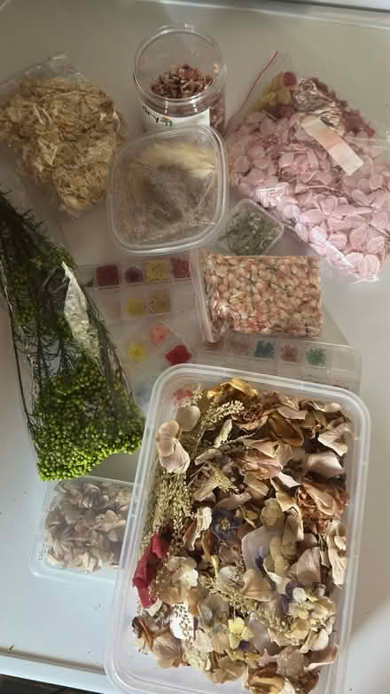 Photo of free Real dried flowers lot (AL4) #1