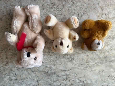 Photo of free 3 small Teddy bears (Welling DA16) #1