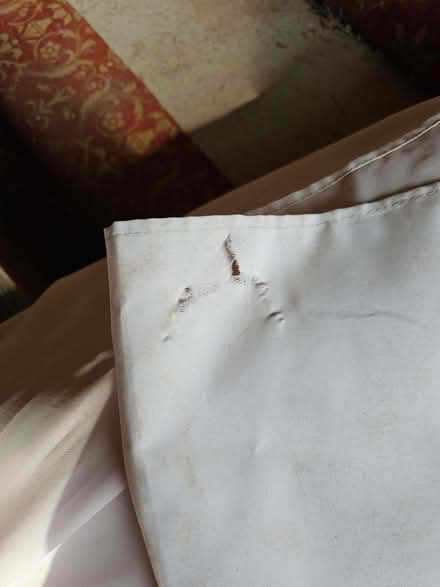 Photo of free Sun shade parasol (Mortimers Cross HR6) #4