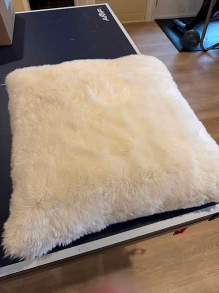 Photo of free Large white, fuzzy pillow (Armonk ny) #2