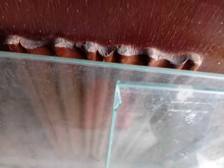 Photo of free 5mm panes of glass X6 (Abingdon OX14) #2