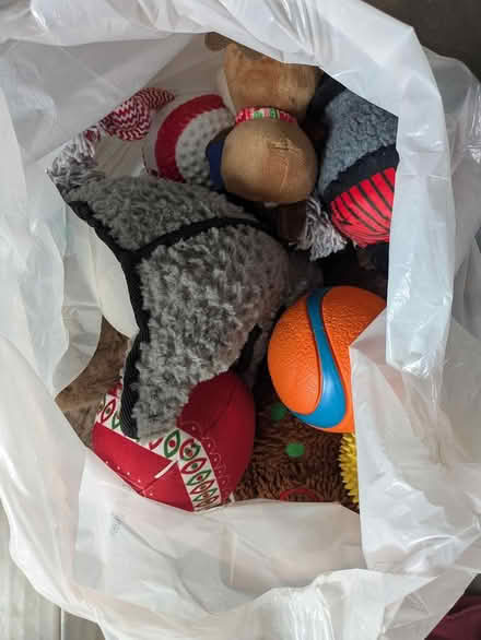 Photo of free Gently used dog toys (16318 Main View LN NE) #1