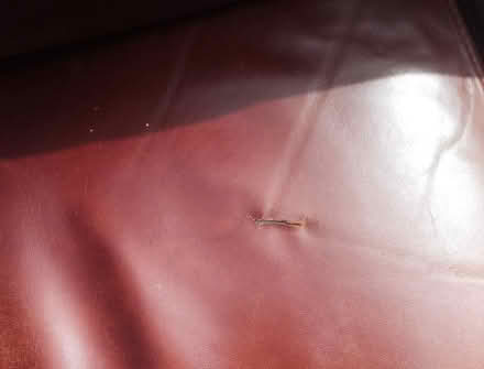 Photo of free Pair of leather sofas (Havant PO9) #3