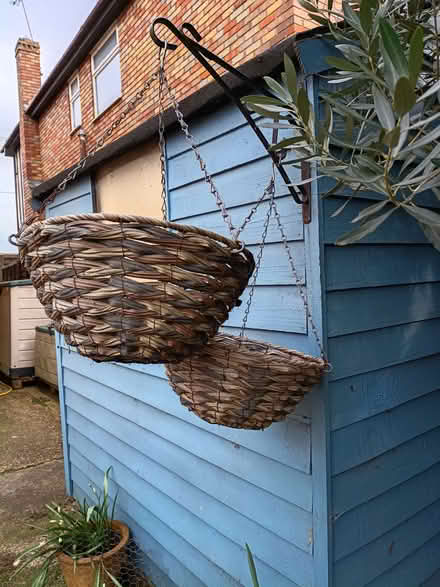 Photo of free 2 X rush effect hanging baskets (Leigh Beck SS8) #1