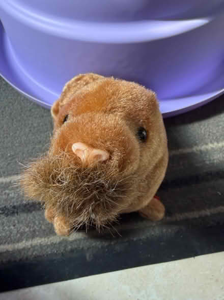 Photo of free TY Wakrus (Westbury Wilts BA13) #1