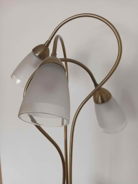 Photo of free Floor standing lamp (Bugbrooke) #2