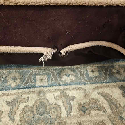 Photo of free Serta Large Dog Bed (Stormville) #3