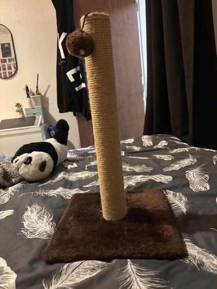 Photo of free Cat scratching post (Morecambe) #1