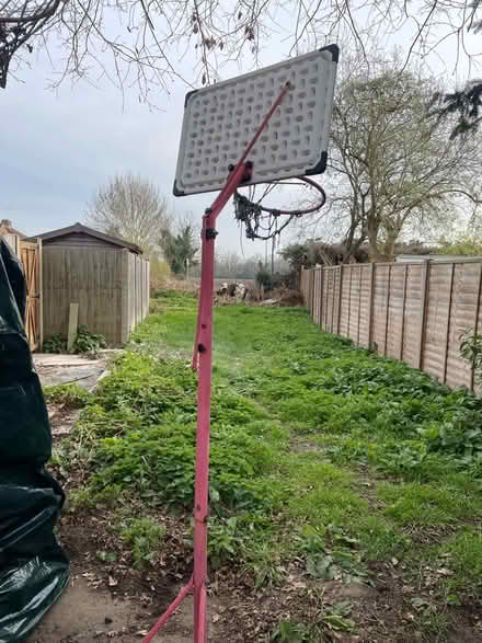 Photo of free Child’s basketball post (Hersham KT12) #2