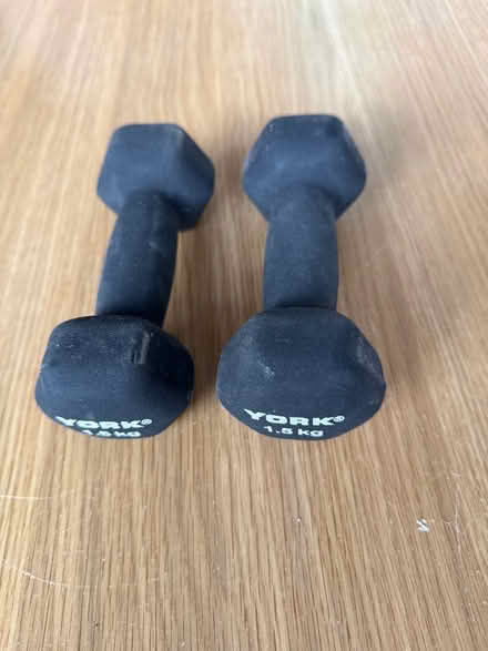Photo of free Dumbells (Acton W3 near Police Station) #1