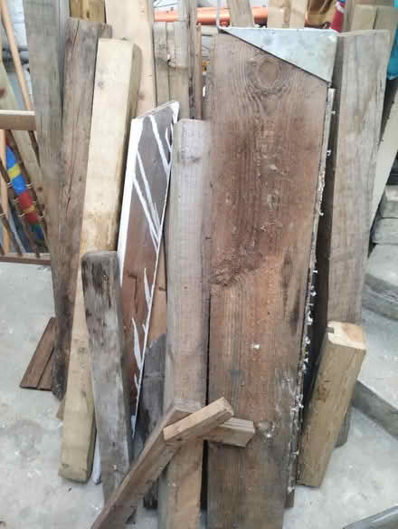 Photo of free Various types of wood for allotments or woodworking. (Hastings TN34) #2
