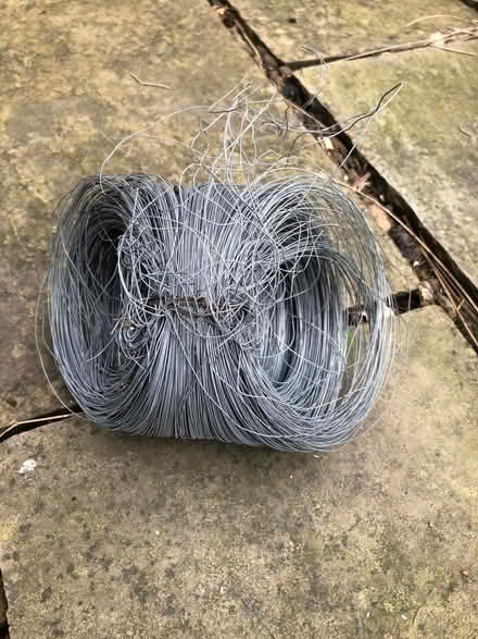 Photo of free Thin wire (Newfield Green S14) #2