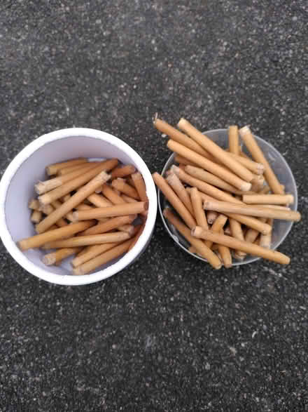 Photo of free Dowls (Ecclesall, S11) #1