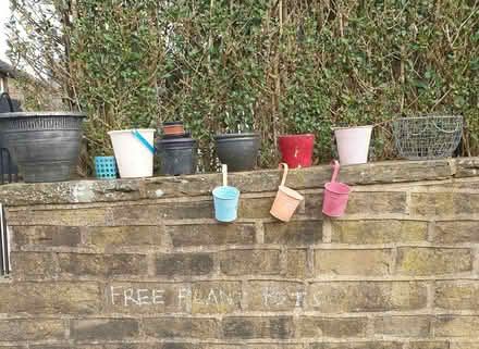 Photo of free Plant pots and a hanging basket (Warley HX2) #1