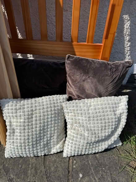 Photo of free Sofa cushions (Croydon, CR0) #1