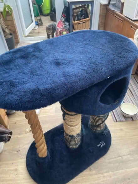 Photo of free Cat tree (Northlands Wood) #1