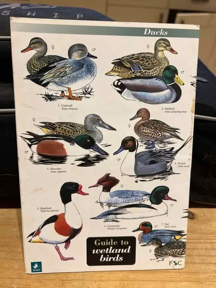 Photo of free Laminated fold out birds, bats and butterflies pamphlets (Dursley GL11) #3