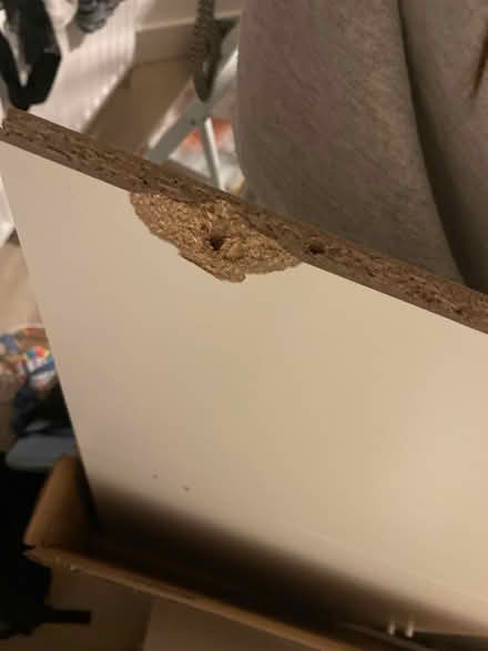 Photo of free ikea kleppstad wardrobe (SE14) #4