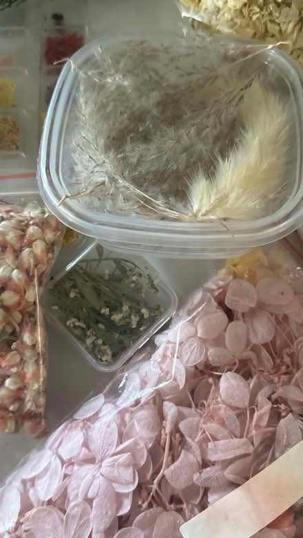 Photo of free Real dried flowers lot (AL4) #4