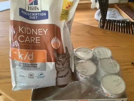 Photo of free K/D cat food (Tenleytown DC) #1