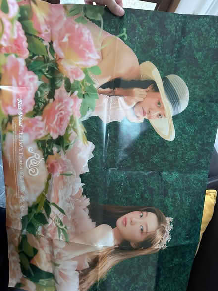 Photo of free Red Velvet K-pop Poster (Chiswick W4) #2