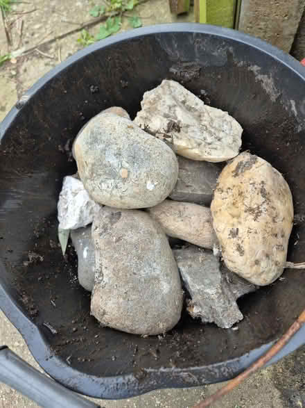 Photo of free Assorted pebbles/stones (Heybridge CM9) #3