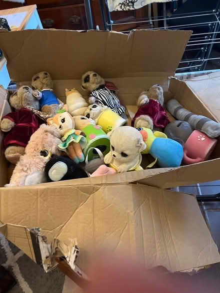 Photo of free Toys and money boxes (lemington NE15) #1