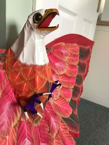 Photo of free Fantastic Bird of Prey Kite (Brotton TS12) #1