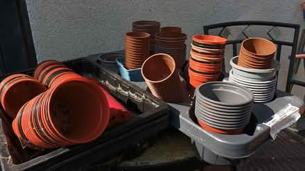 Photo of free Small garden pots (Thames Ditton KT7) #1