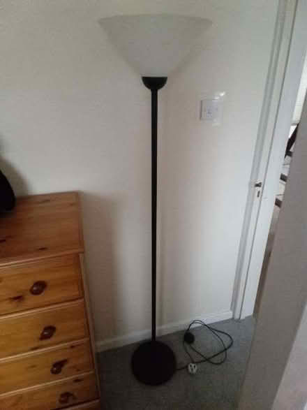 Photo of free Floor lamp uplighter (Brickhill MK41) #1