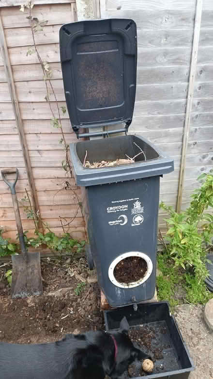 Photo of free Large wheelie bin wormery (Shirley CR0) #1
